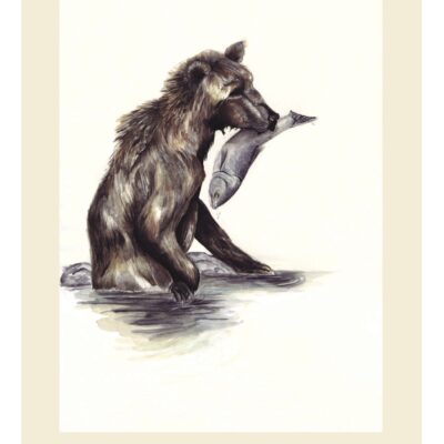 Grizzly Bear (water color and India ink)