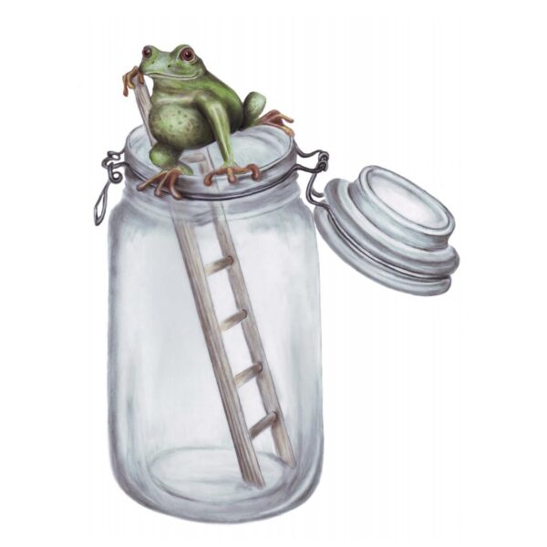 Escape Frog Illustration, 2009