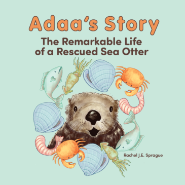 “Adaa’s Story”; coming this fall 2023!