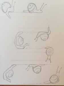 snailsexploring