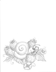 SnailStrawberrySleepScanBW