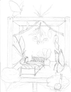 butterflyhome2