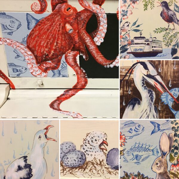 animal snapshots