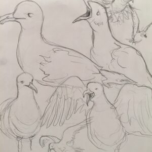 Seagulls concept sketch
