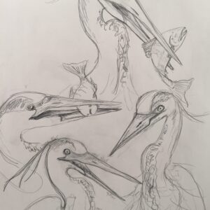 Heron concept sketch