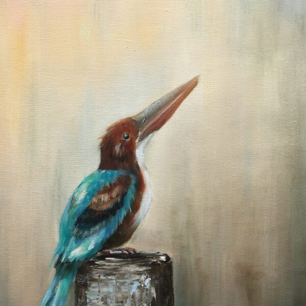 White Throated Kingfisher