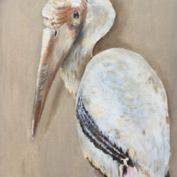 Painted Stork