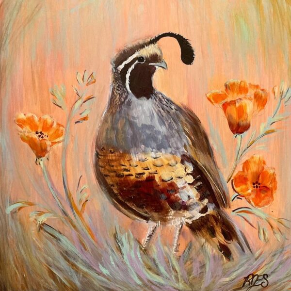 California Quail