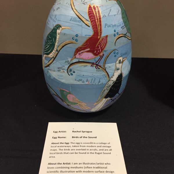 Birds of the Sound egg