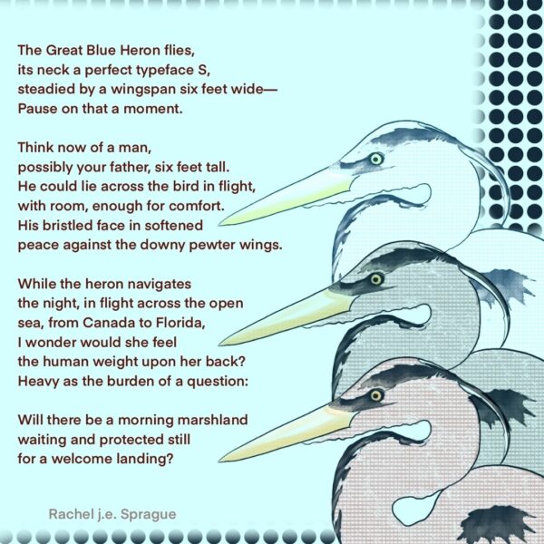 inspired by The Heron Observation Network of Maine, 2019 