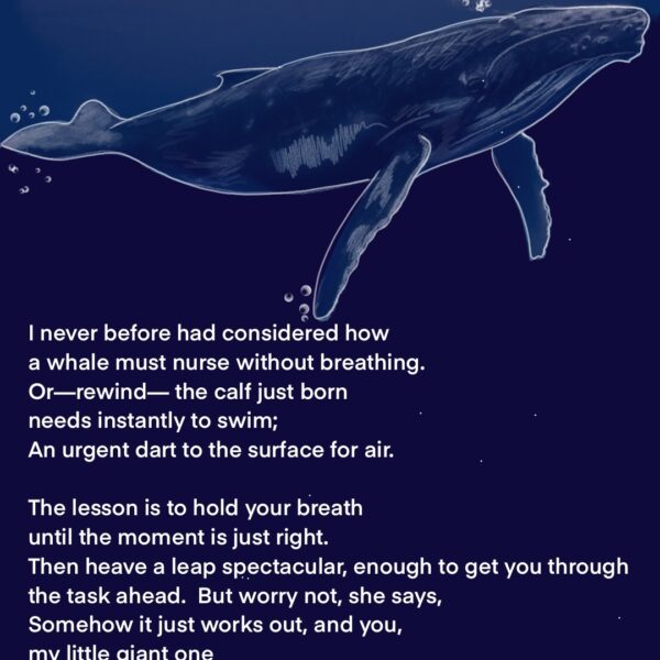 inspired by "Whale Tales" podcast, 2019