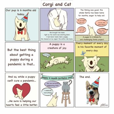 Corgi and Cat featured as “Pandemic Project”, in Seattle Times