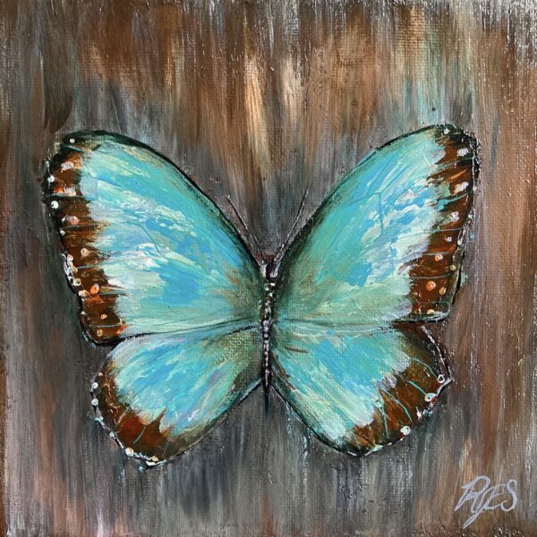 Blue Morpho Butterfly 