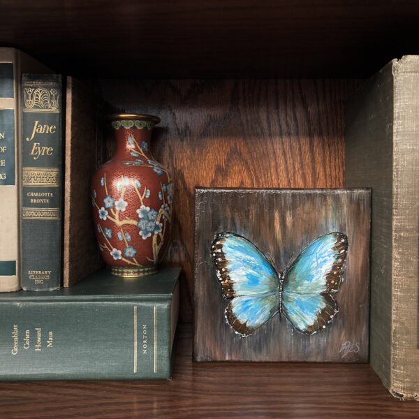 Blue Morpho Butterfly