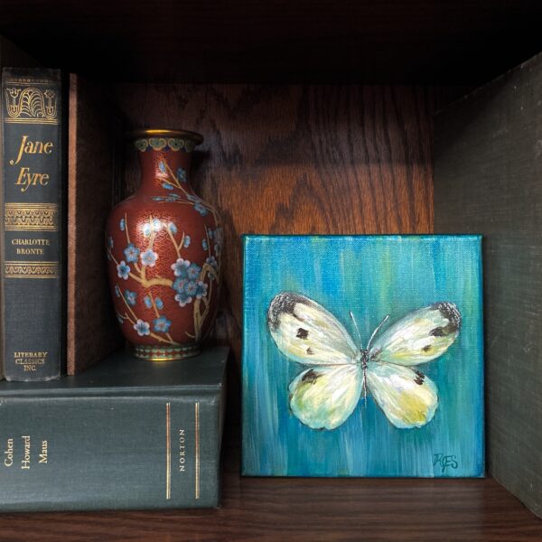 Cabbage Butterfly