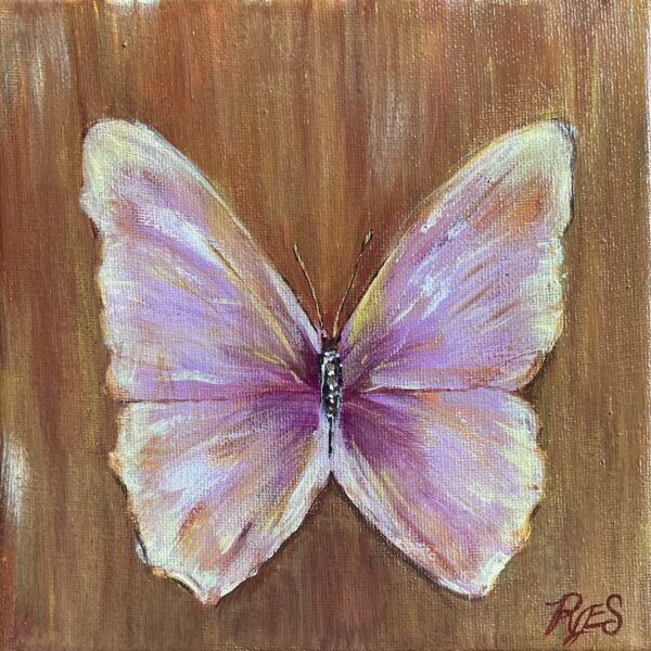 Lavender Morpho Butterfly 