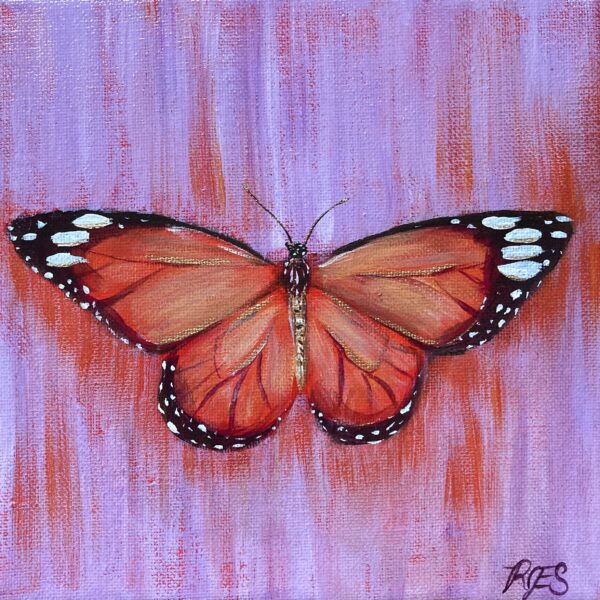 Monarch Butterfly 