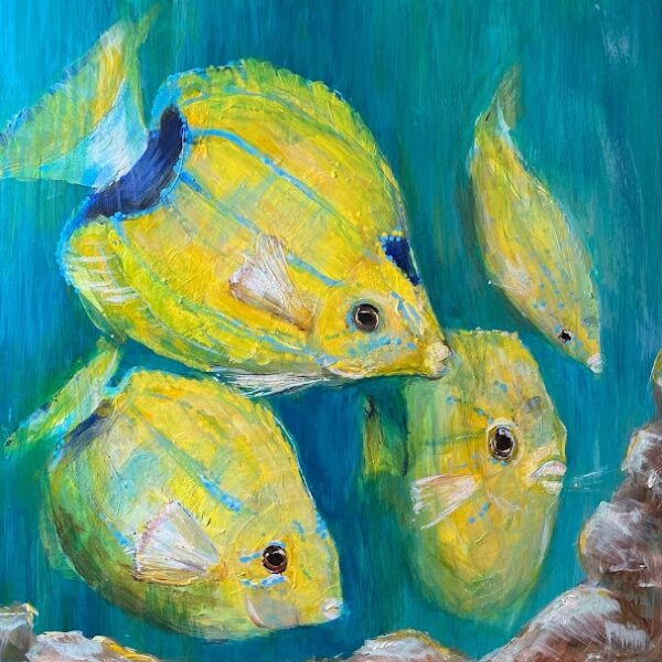 Bluestripe Butterfly Fish