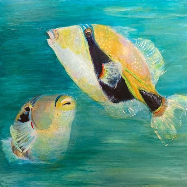 Reef Triggerfish 
(Humuhumu)