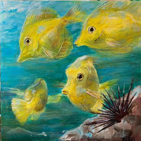Yellow Tang
